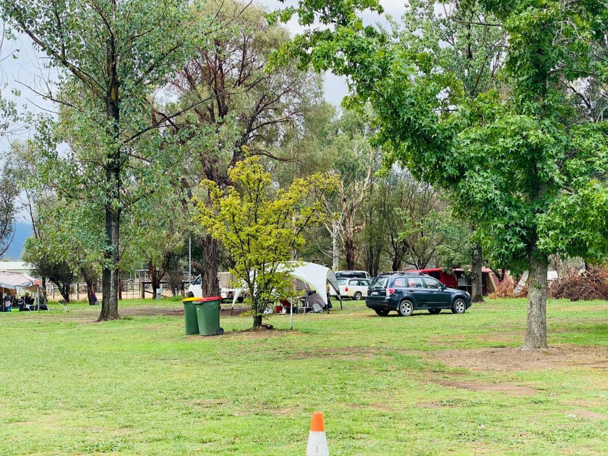 Mt Mittamatite Caravan Park Corryong Exteriör bild